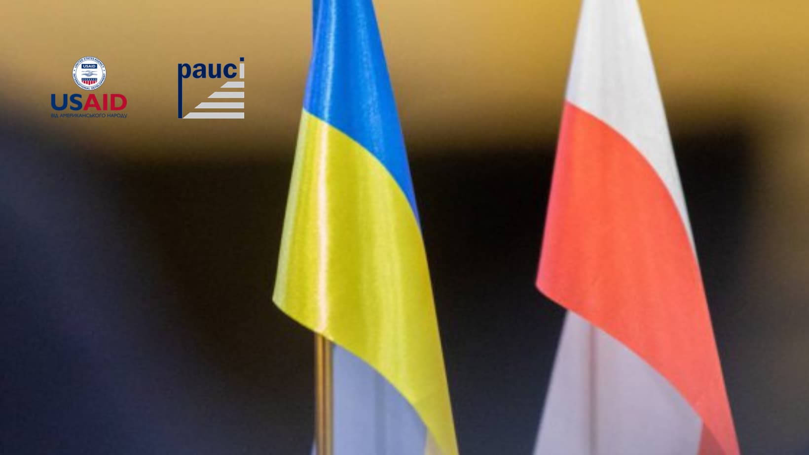 Молодіжна рада - це можливість навчатися та бути лідером. Українці перейняли досвід у польських колег